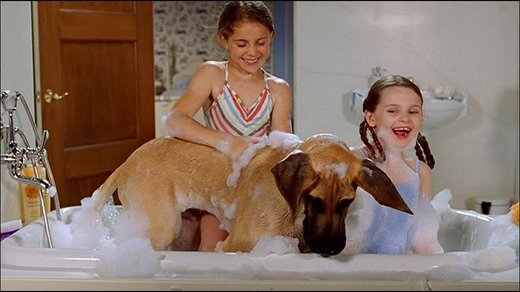 AbigailBreslin-Chestnut-288.jpg AbigailBreslin-Chestnut-288.jpg