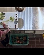 AbigailBreslin-NoReservations-169.jpg