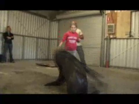 BetterTv-NimsPressj-00079.png BetterTv-NimsPressj-00079.png