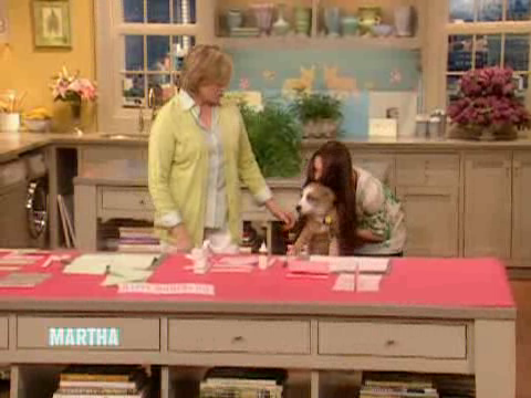 thirdmarthas00007.png thirdmarthas00007.png