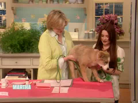 thirdmarthas00014.png thirdmarthas00014.png