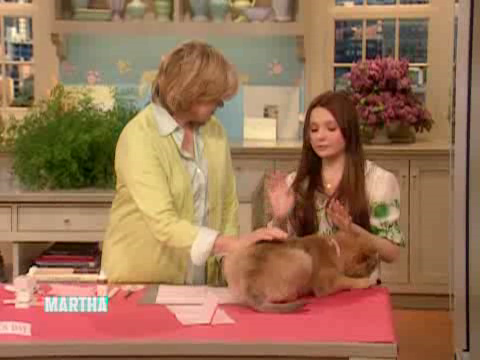 thirdmarthas00021.png thirdmarthas00021.png