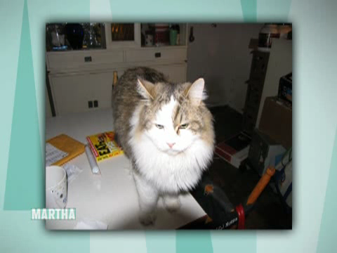 thirdmarthas00047.png thirdmarthas00047.png