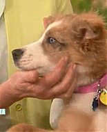 Filename=thirdmarthas00010.png
Filesize=313KiB
Dimensions=480x360
Date added=May 28, 2009 thirdmarthas00010.png