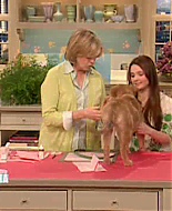 Filename=thirdmarthas00017.png
Filesize=300KiB
Dimensions=480x360
Date added=May 28, 2009 thirdmarthas00017.png