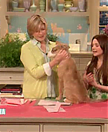 Filename=thirdmarthas00018.png
Filesize=319KiB
Dimensions=480x360
Date added=May 28, 2009 thirdmarthas00018.png