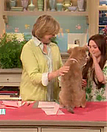 Filename=thirdmarthas00019.png
Filesize=319KiB
Dimensions=480x360
Date added=May 28, 2009 thirdmarthas00019.png