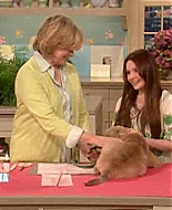 Filename=thirdmarthas00024.png
Filesize=297KiB
Dimensions=480x360
Date added=May 28, 2009 thirdmarthas00024.png