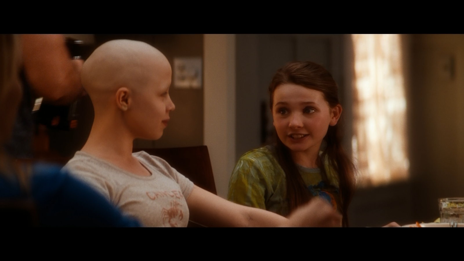 my_sisters_keeper_1027.png