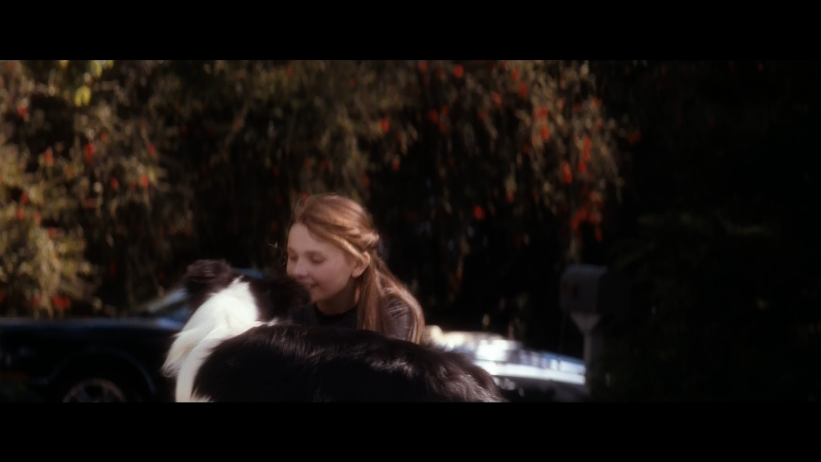 my_sisters_keeper_6373.png my_sisters_keeper_6373.png