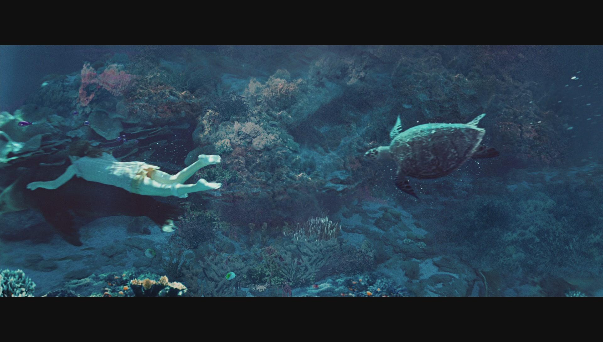 NimsIsland31.jpg NimsIsland31.jpg