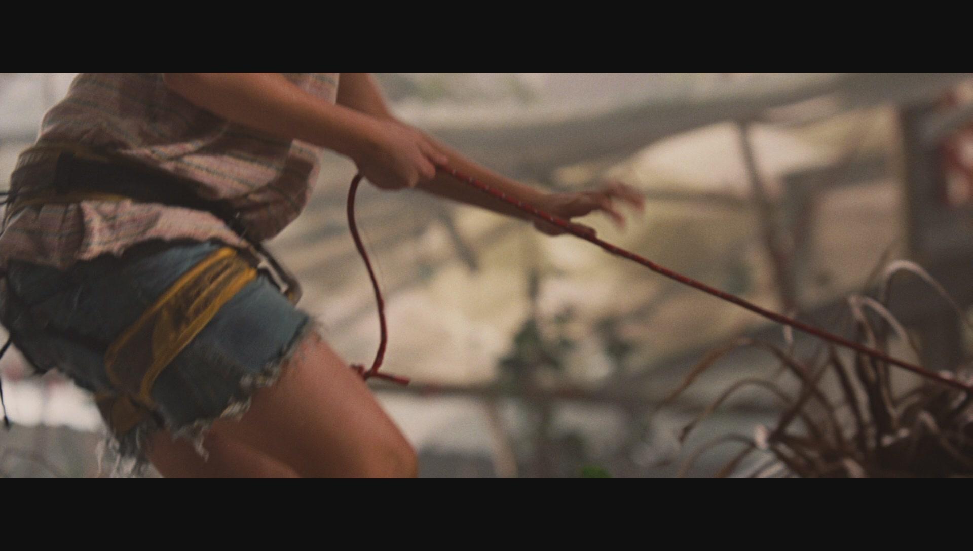 NimsIsland308.jpg NimsIsland308.jpg