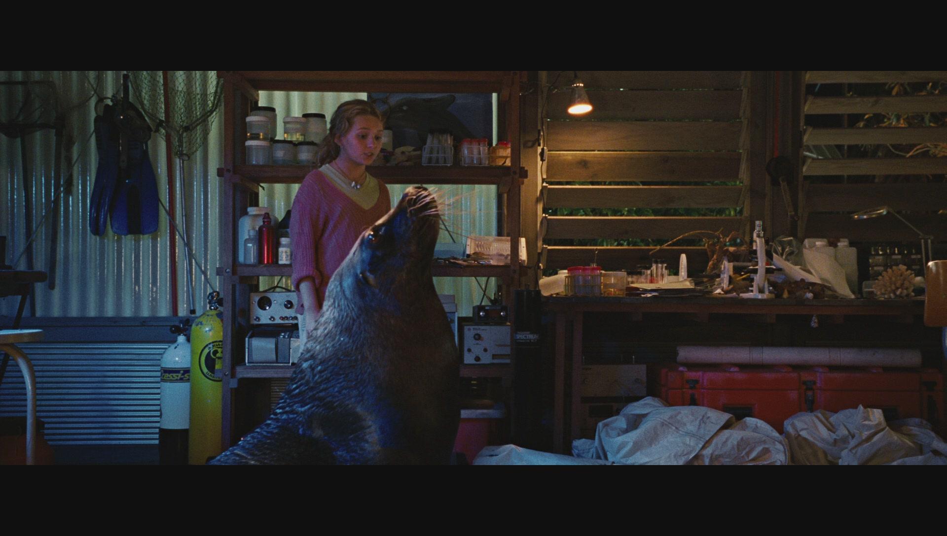 NimsIsland342.jpg NimsIsland342.jpg