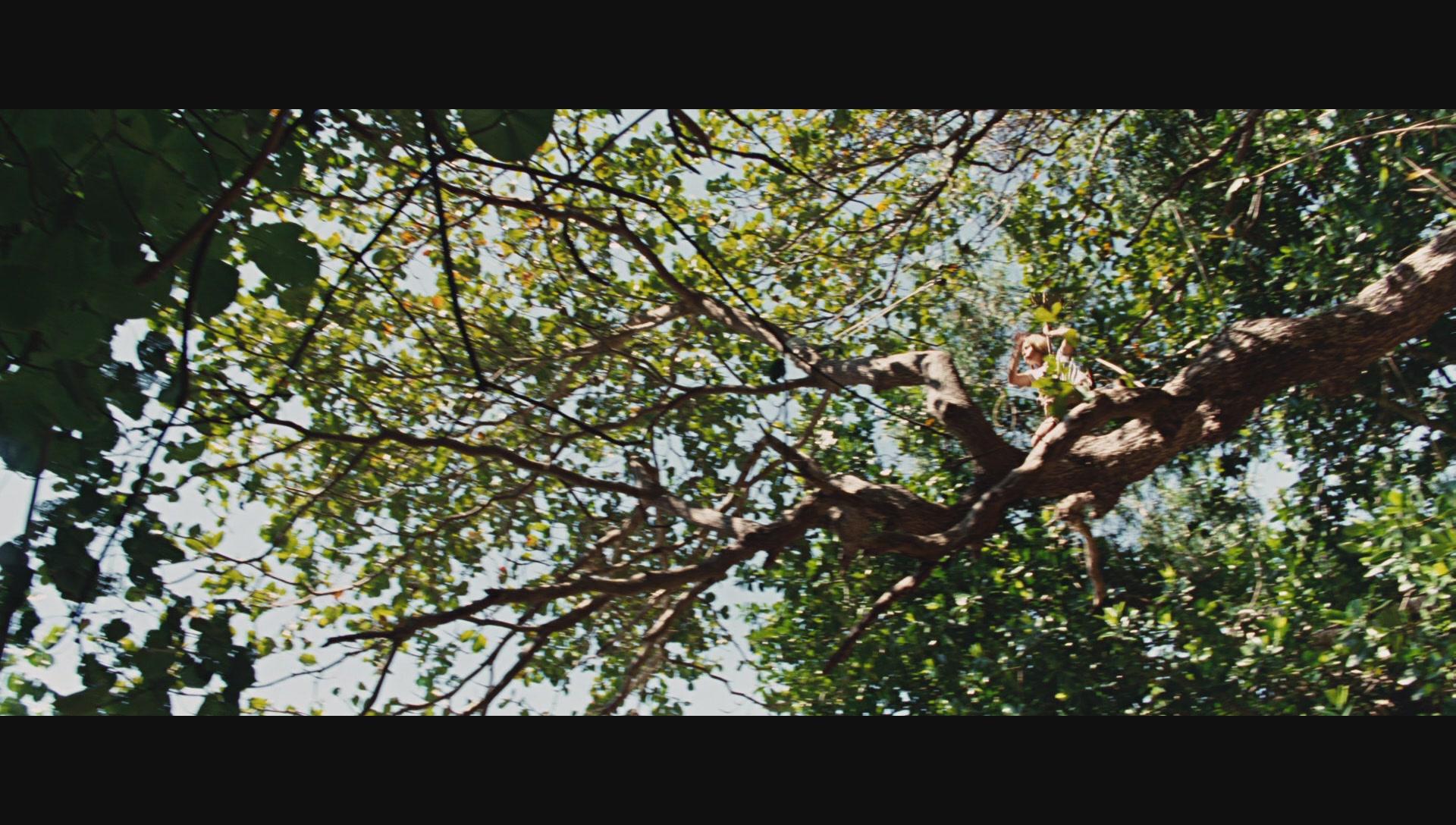 NimsIsland475.jpg NimsIsland475.jpg