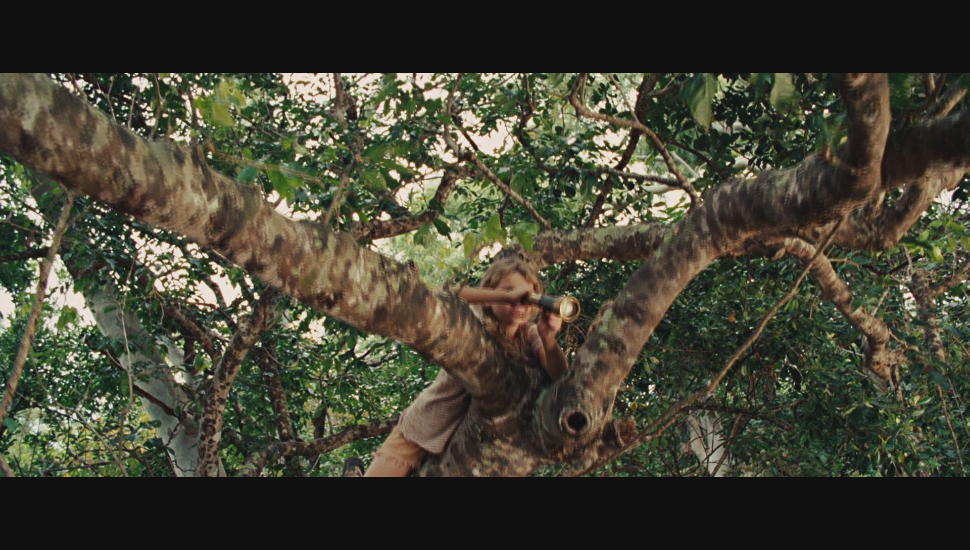 NimsIsland640.jpg NimsIsland640.jpg