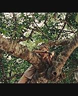 Filename=NimsIsland640.jpg
Filesize=292KiB
Dimensions=1920x1088
Date added=Jan 05, 2010 NimsIsland640.jpg