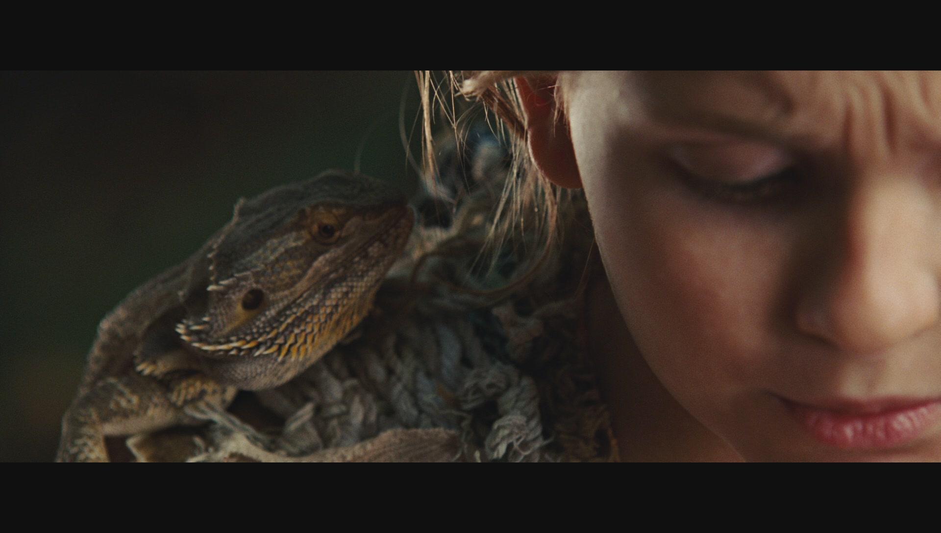 NimsIsland663.jpg NimsIsland663.jpg