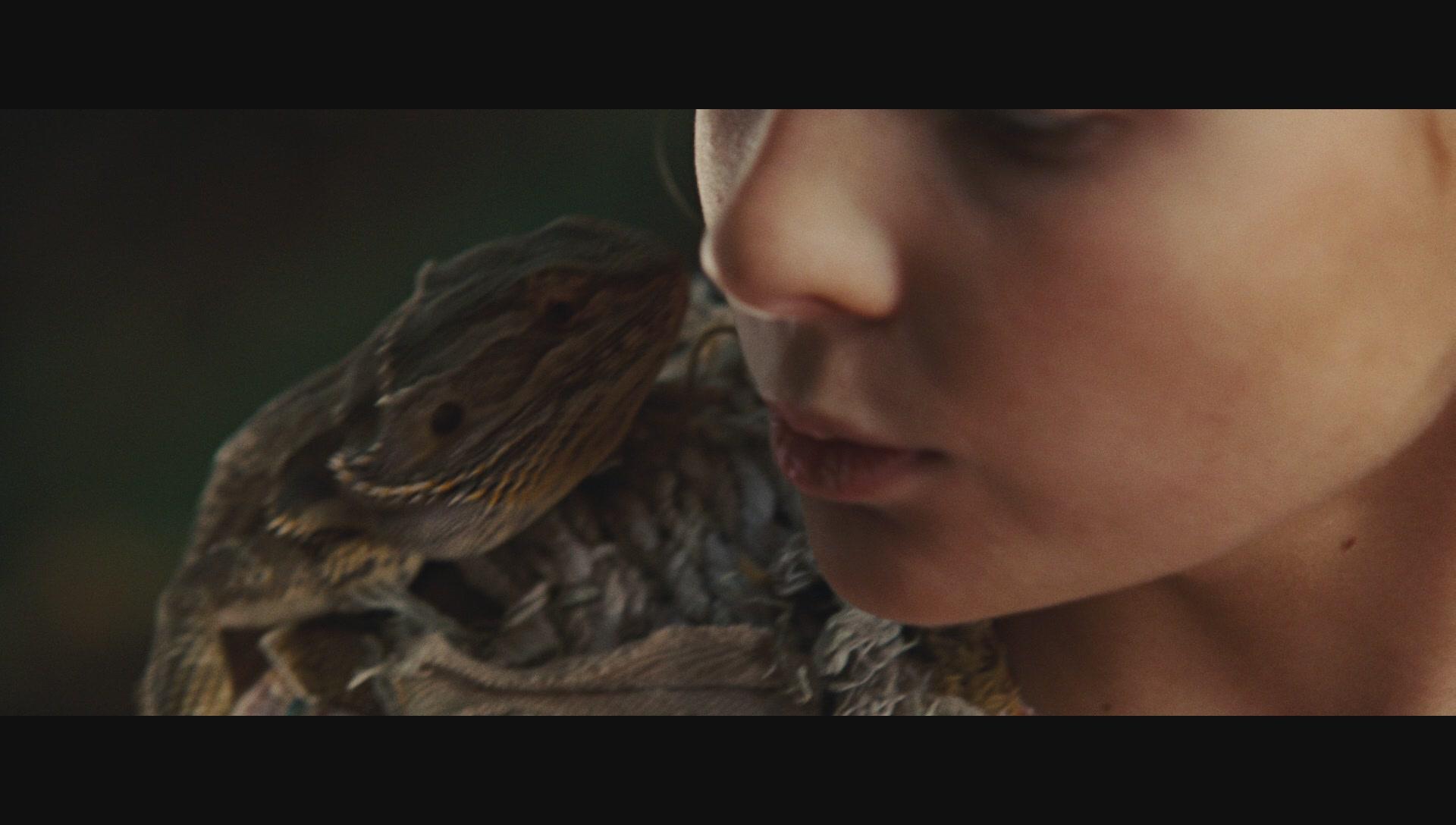 NimsIsland664.jpg NimsIsland664.jpg