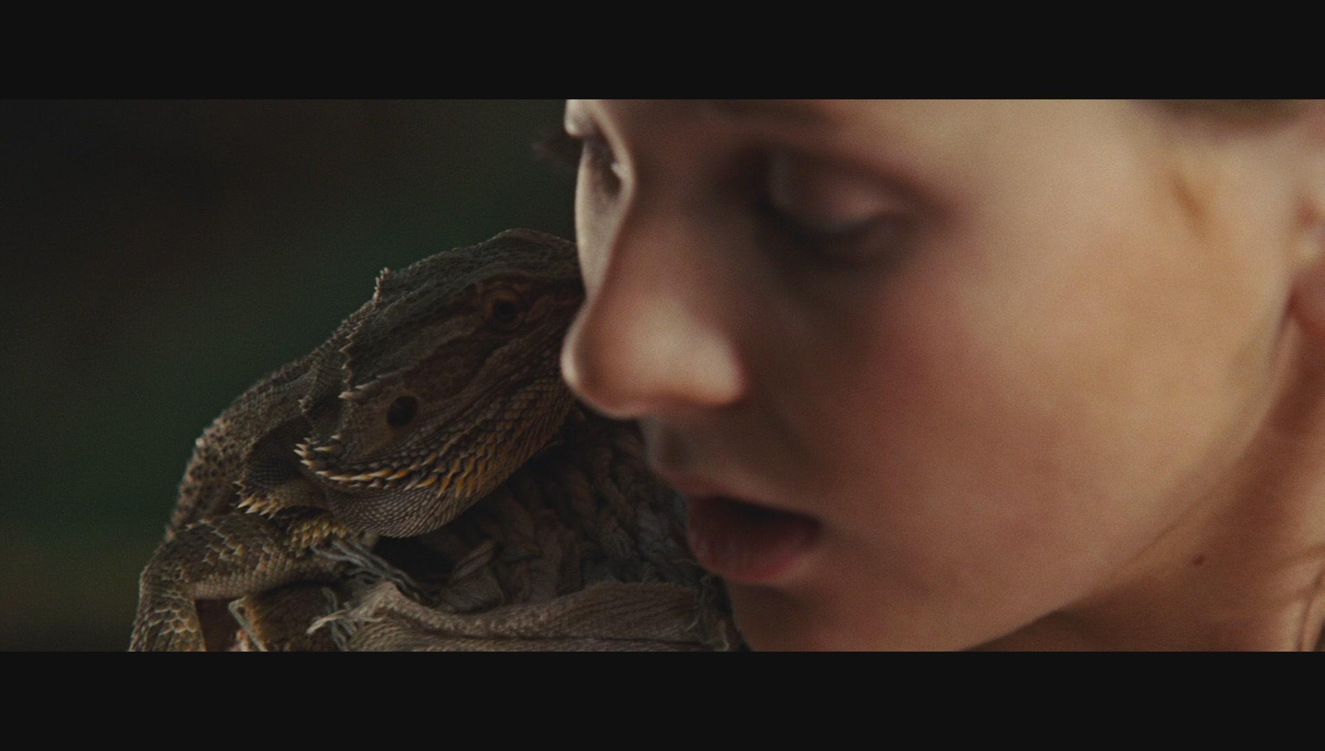 NimsIsland666.jpg NimsIsland666.jpg