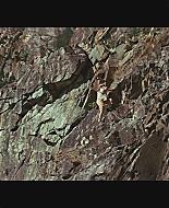 Filename=NimsIsland692.jpg
Filesize=265KiB
Dimensions=1920x1088
Date added=Jan 05, 2010 NimsIsland692.jpg