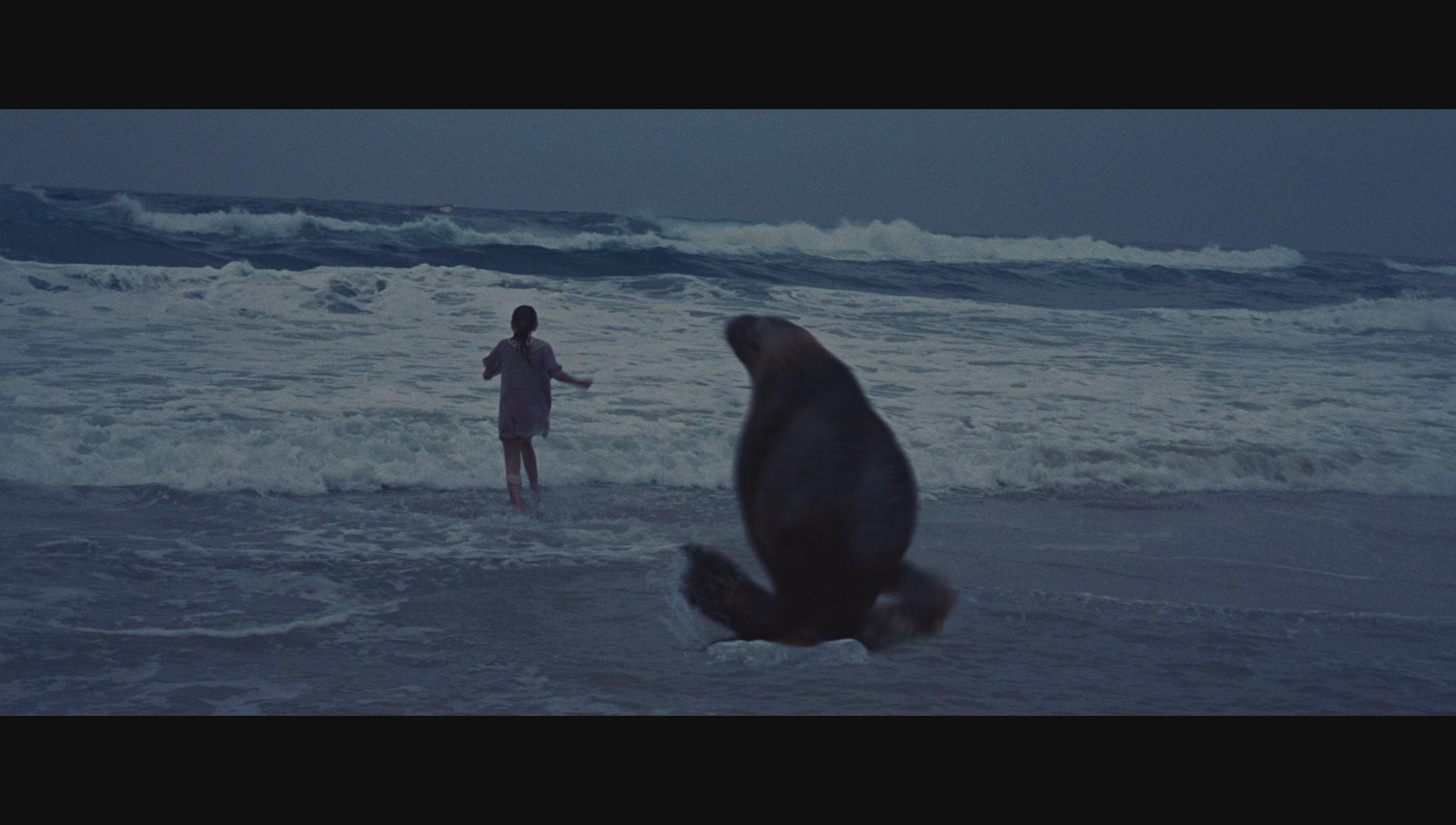 NimsIsland780.jpg NimsIsland780.jpg