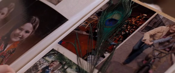 vlcsnap-213965.png vlcsnap-213965.png