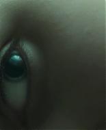 Filename=abigailbreslin-thehunter01983.jpg
Filesize=22KiB
Dimensions=1250x674
Date added=Dec 09, 2014 abigailbreslin-thehunter01983.jpg