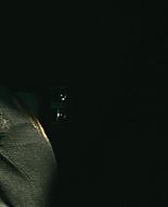 Filename=abigailbreslin-thehunter02821.jpg
Filesize=29KiB
Dimensions=1250x674
Date added=Dec 09, 2014 abigailbreslin-thehunter02821.jpg