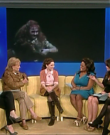 Filename=Abbie-TheView3rd-00165.png
Filesize=652KiB
Dimensions=804x452
Date added=Mar 06, 2010 Abbie-TheView3rd-00165.png