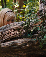 vlcsnap-1321362.png