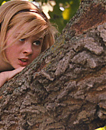 Filename=vlcsnap-1324932.png
Filesize=937KiB
Dimensions=853x480
Date added=Nov 28, 2008 vlcsnap-1324932.png