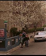 Filename=195.jpg
Filesize=60KiB
Dimensions=853x480
Date added=Feb 24, 2007 195.jpg