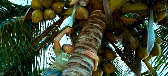 vlcsnap-15592292.png