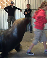 Filename=vlcsnap-1756945.png
Filesize=905KiB
Dimensions=853x480
Date added=Aug 15, 2008 vlcsnap-1756945.png