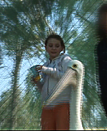 Filename=vlcsnap-1761843.png
Filesize=898KiB
Dimensions=853x480
Date added=Aug 15, 2008 vlcsnap-1761843.png