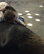 Filename=vlcsnap-1762024.png
Filesize=730KiB
Dimensions=853x480
Date added=Aug 15, 2008 vlcsnap-1762024.png