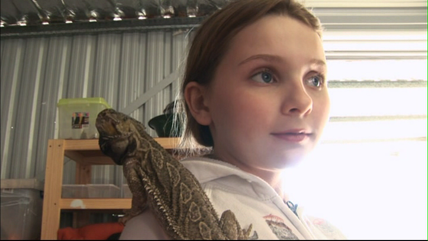 vlcsnap-1752039.png vlcsnap-1752039.png