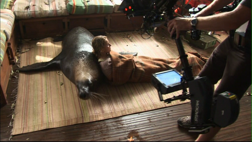 vlcsnap-1752337.png vlcsnap-1752337.png