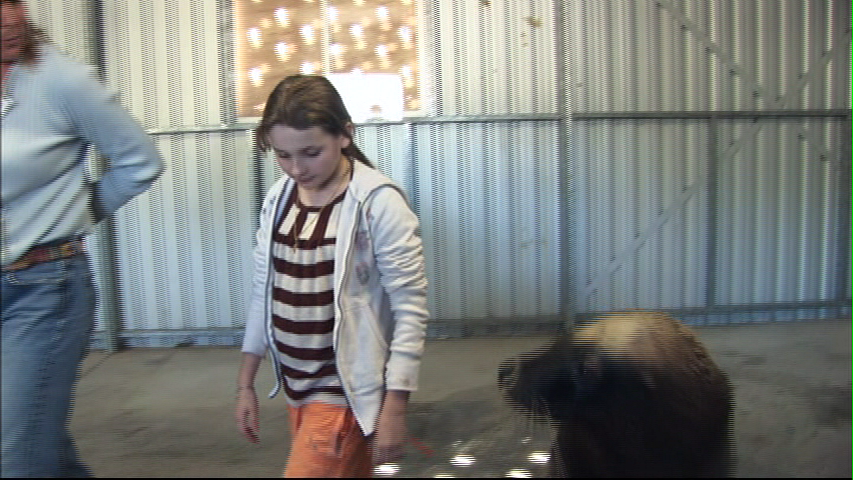 vlcsnap-1756206.png vlcsnap-1756206.png