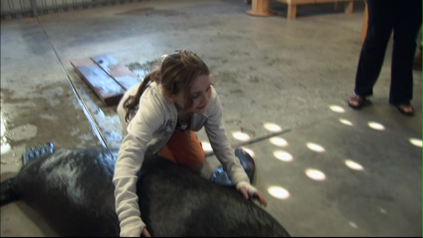 vlcsnap-1761971.png vlcsnap-1761971.png