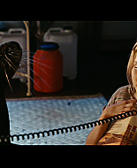 Filename=vlcsnap-1379723.png
Filesize=578KiB
Dimensions=853x480
Date added=Aug 21, 2008 vlcsnap-1379723.png