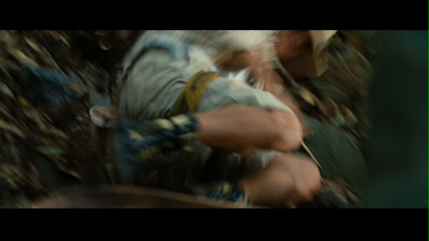 vlcsnap-1391021.png