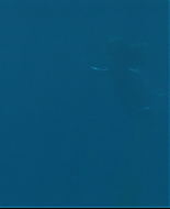 Filename=vlcsnap-1780746.png
Filesize=287KiB
Dimensions=853x480
Date added=Aug 15, 2008 vlcsnap-1780746.png