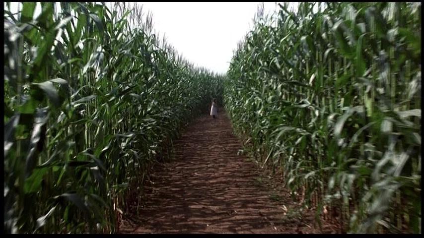 AbigailBreslin_Sigs005.jpg AbigailBreslin_Sigs005.jpg