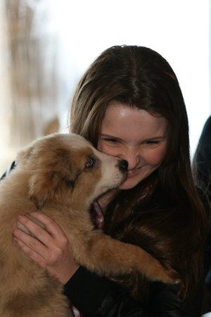 adoptingpuppy001.jpg