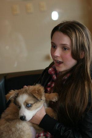 adoptingpuppy007.jpg adoptingpuppy007.jpg