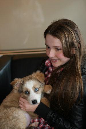 adoptingpuppy008.jpg