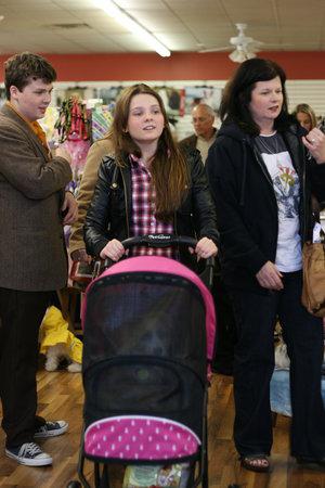 adoptingpuppy013.jpg adoptingpuppy013.jpg