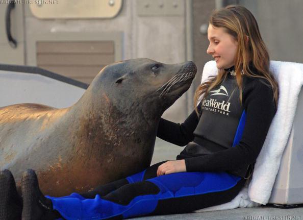 SeaWorld-001tagged.jpg SeaWorld-001tagged.jpg