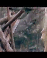 BetterTv-NimsPressj-00064.png